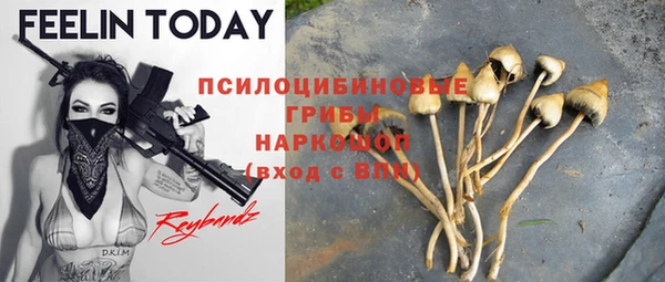 ешки Алзамай