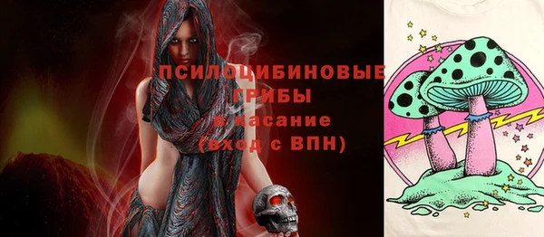 ешки Алзамай